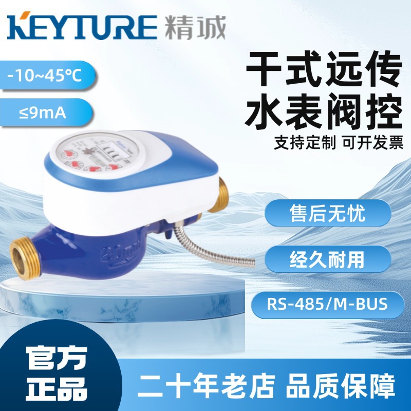 0204厂家直销 阀控干式有线远传水表