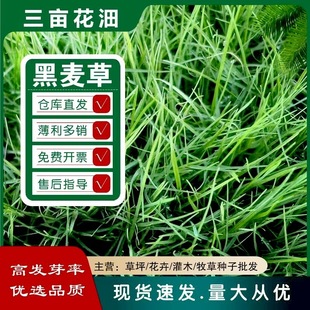 ���l��ƺ�N�Ӷ����������ݾG�����̲����ļ����ͺ�������é������