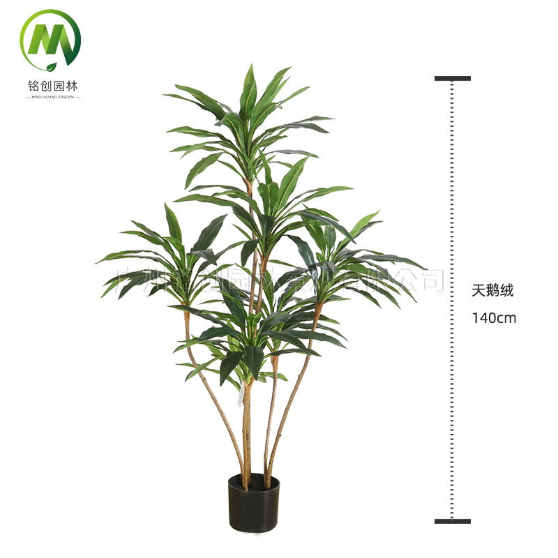 Simulación de paisaje de plantas verdes Terciopelo Planta falsa de hierro brasileño de alta gama Planta en maceta Simulación de suelo interior Planta verde con maceta