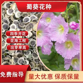 一二年生花卉;林业副产品;草坪
