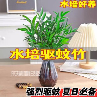 ˮ��������F��ˮ�Bֲ����ؑ����k���҃Ⱥ��B�Gֲ�����՚��ļ�