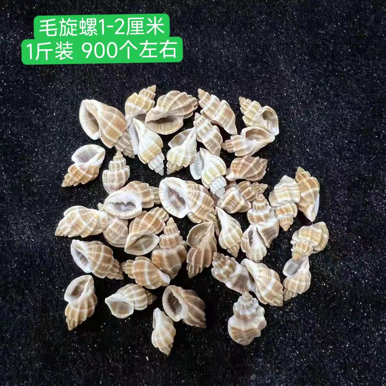 微信图片_20220317160800