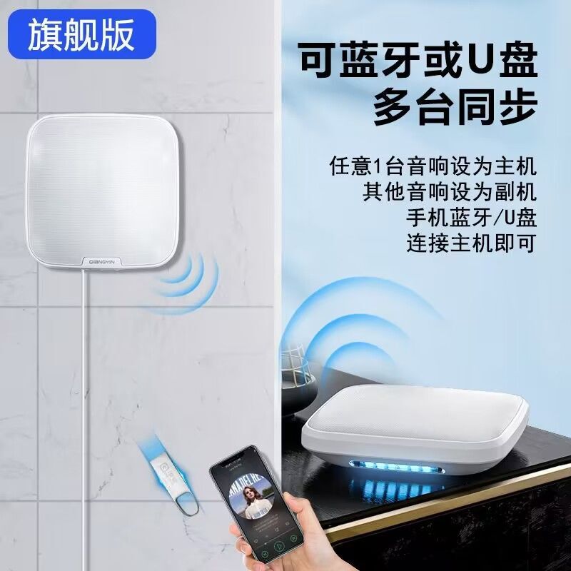 Indoor wall-mounted Bluetooth audio commercial wireless restaurant milk tea shop leisure club shop dedicated 3D surround sound Indoor wall-mounted Bluetooth audio commercial wireless restaurant milk tea shop leisure club shop dedicated 3D surround sound