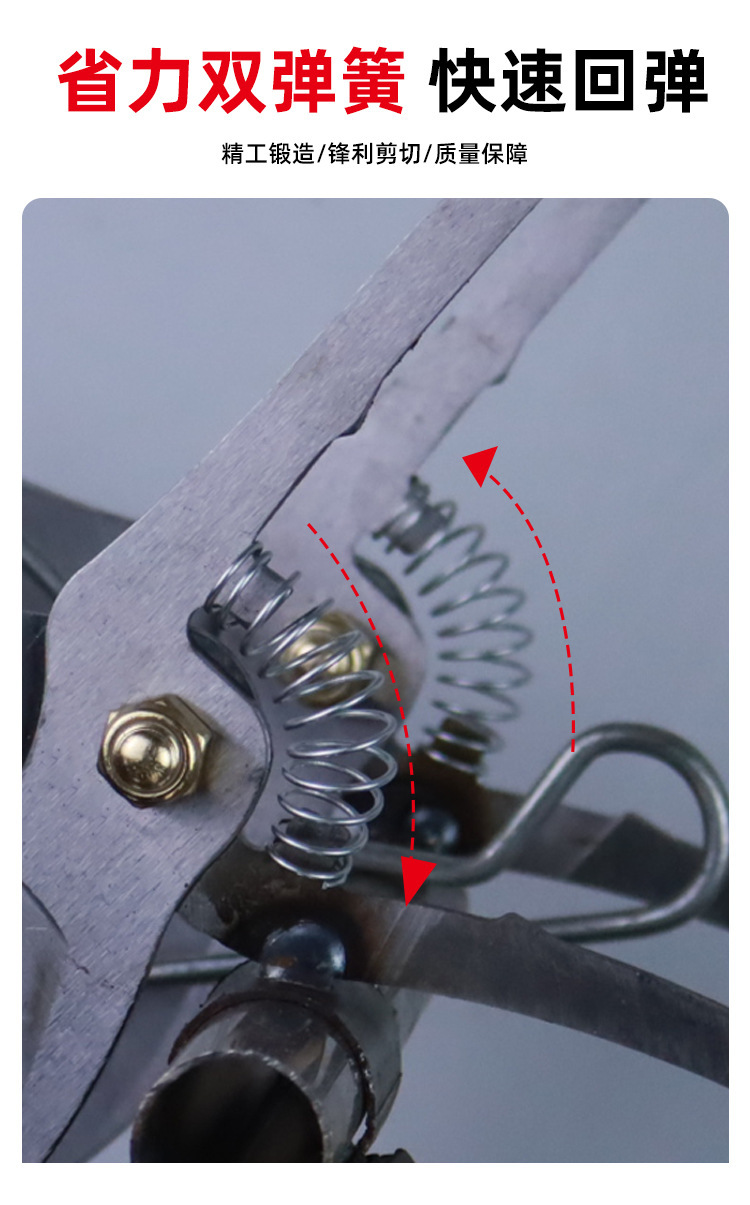 O1CN01qMweZE1MMrYzYlmnD_!!4070