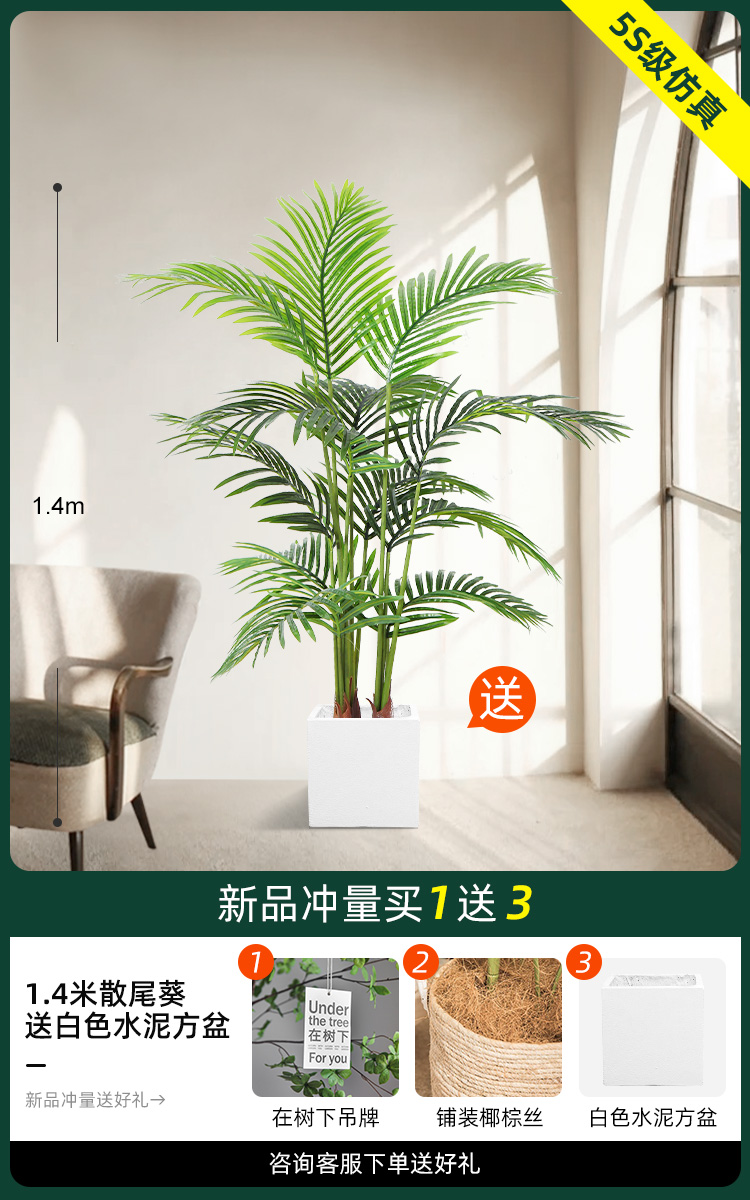 1.4 m 느슨한 말미잘 [백색 시멘트 사각 분지 보내기]]