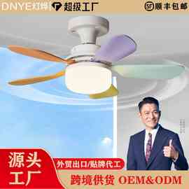 定制跨境E27螺口风扇灯LED球泡灯玄关吸顶灯过道简约球泡灯直叶扇