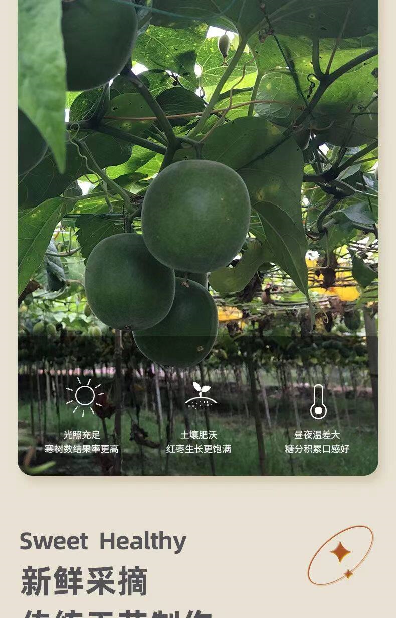 Premium Luo Han Guo Dried Monk Fruit Whole Fruits for Tea and Infusions 50 Extra Large Fruits Individually Wrapped quality and texture