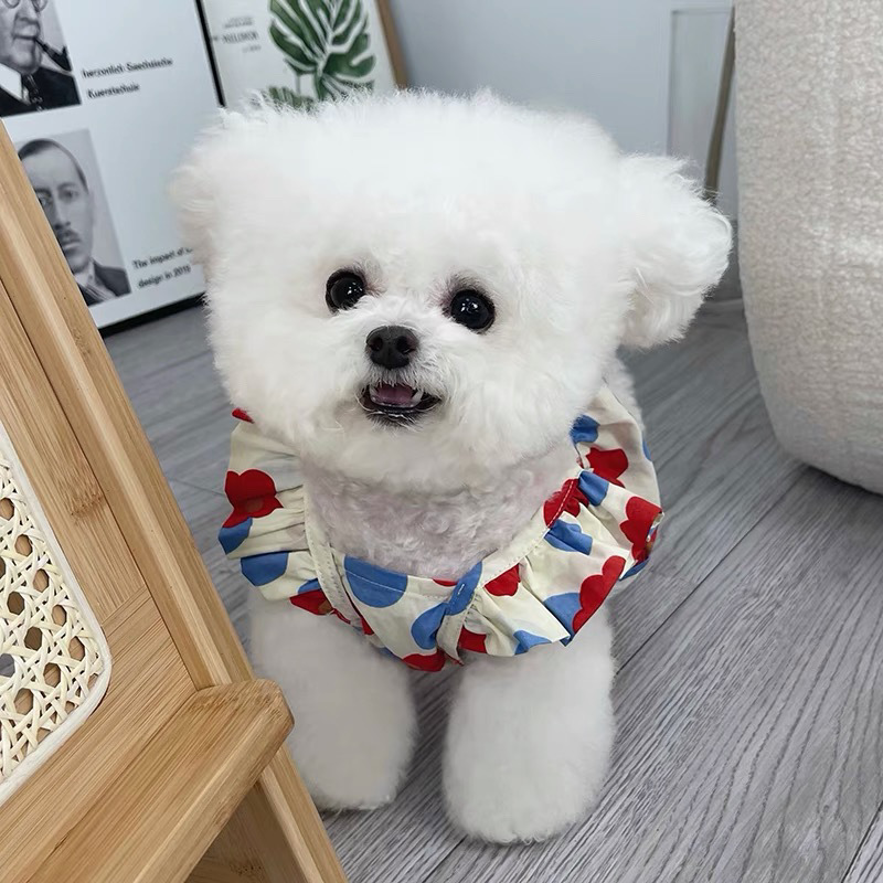 해바라기 스커트 레드