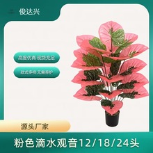 羳GֲԵˮ^ۼtٻᎧ٘Ҿֲ߷