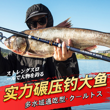 日本原装进口碳素钓鱼竿手竿28调超硬19调台钓综合竿十