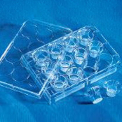 Transwell®聚碳酸酯膜嵌套 Permeable support