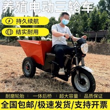 BֳS܇Bi늄S܇ɳ݆\܇rÉ