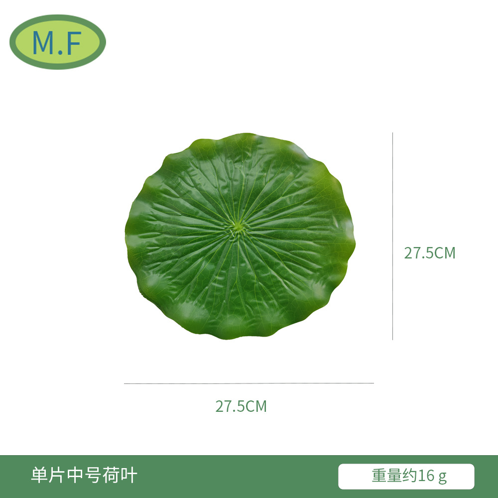 中号荷 叶
