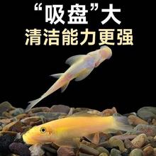 �^�pС�~��̦���坍�~��������~�Ꭷ�^�p�~��̦����������幤��