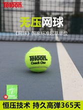 TELOON�����o���W��CoacOne�ߏ��a��Ӗ���W��l��C�W��Super����