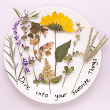 ���⻨֦�ϼ� �ɻ��������ϰ��ֹ�diy���ϵ��zѺ������ֲ��˱�