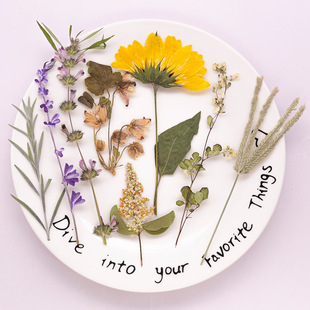 ���⻨֦�ϼ� �ɻ��������ϰ��ֹ�diy���ϵ��zѺ������ֲ��˱�