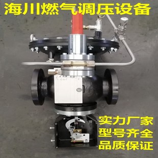 �����Mϣ��FISHER627-496��Ȼ���{���y�p���yȼ���{����