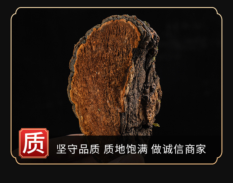 Sang Huang (Sanghuangporus sanghuang) — Wild-Grown Tibetan Medicinal Mushroom, Sulfur-Free, Custom Milling key features
