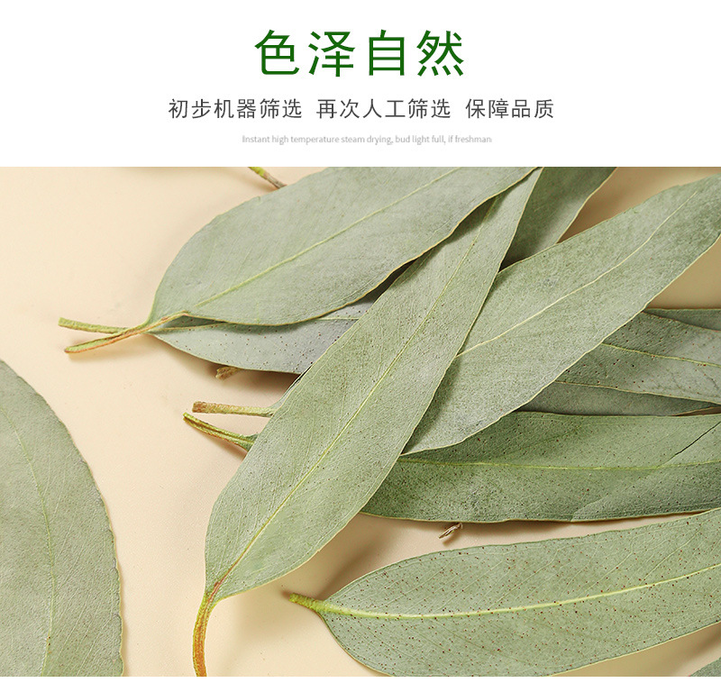 Eucalyptus Leaves (Eucalyptus globulus) — Dried Blue Gum Leaf for Sachets & Herbal Blends in use