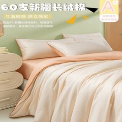 High-end 60A Class Maternity Four-Piece Set All-Cotton Embroidered Comforter Cover Pure Cotton Sheet Bedspread Dorm Three-Piece Set Nantong 4
