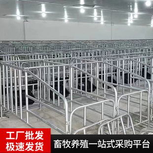 厂家定制落地式限位栏猪用母猪定位栏加厚镀锌管落地式母猪定位栏-阿里巴巴