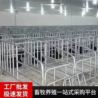厂家定制落地式限位栏加厚加固镀锌管猪场标准限位饲养母猪定位栏