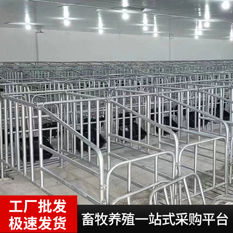 Cercas de límite de piso de stock de fábrica Cerdas de posicionamiento Cerdas de cría de ganado Tubo de acero galvanizado en caliente Cercas de posicionamiento de piso