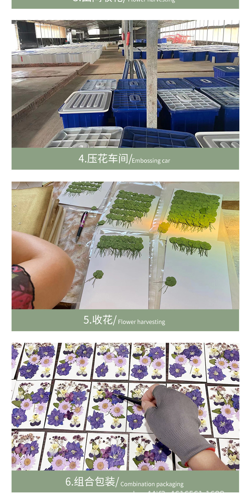 详情页_14.jpg