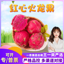【严选】海南金都一号红心火龙果 代发5斤甜糯红肉火龙果新鲜水果