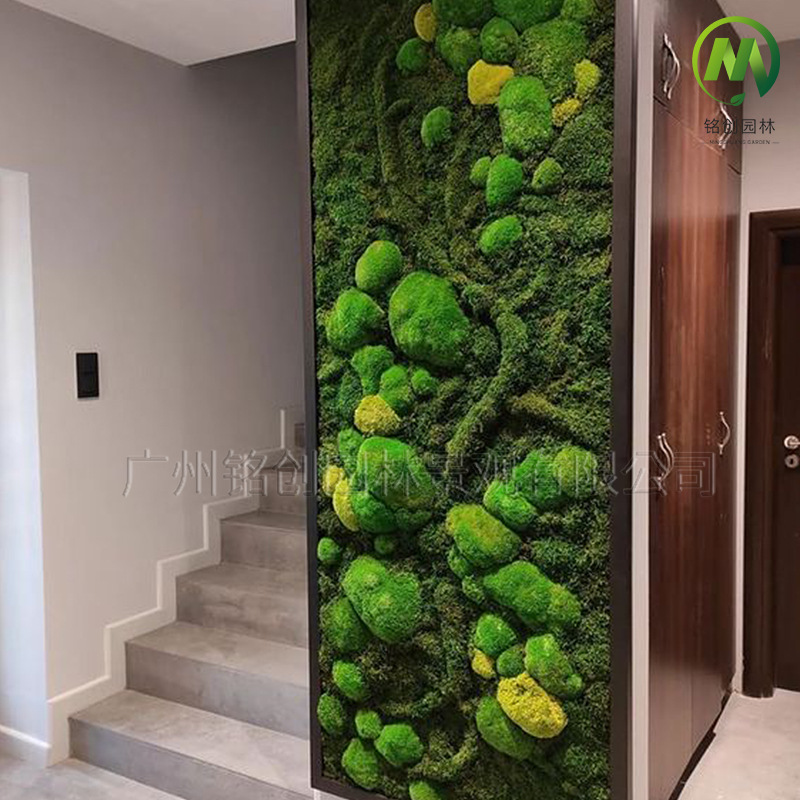 Decoración de pared de musgo inmortal, pared de plantas, paisaje de musgo falso, pintura diye, asta, pared de fondo de recepción, musgo inmortal