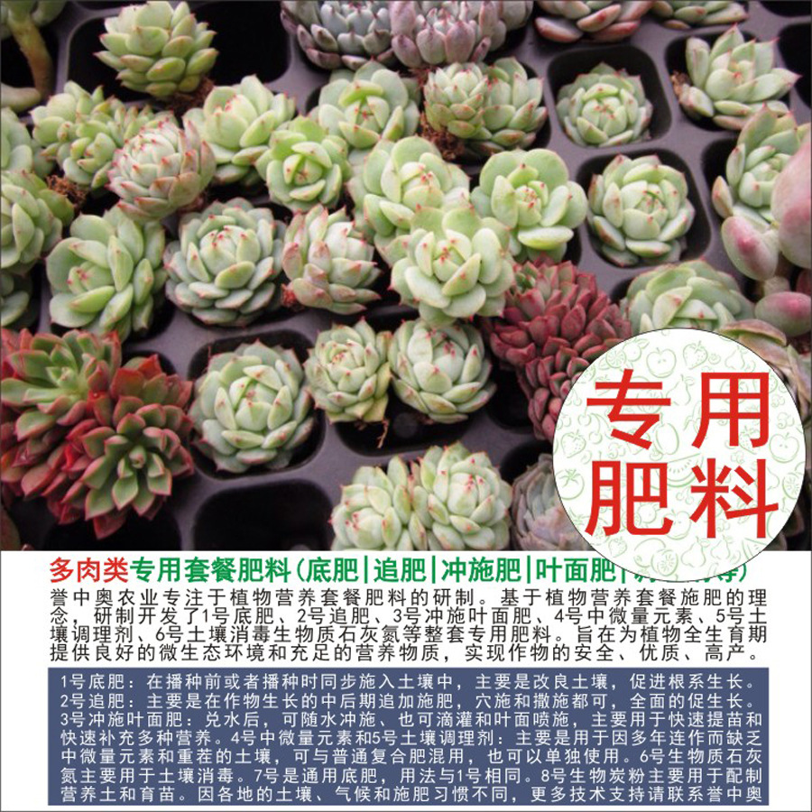 50�����а¶���ר���л��ʸ��Ϸʵ׷�׷��Ҷ��ʳ�ʩ��ˮ�ܷ�