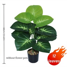 ����Gֲ�f�����^�z�ָ��~ ��c�Ҿ��b�辰�[���٘�S��ֱ�N�羳