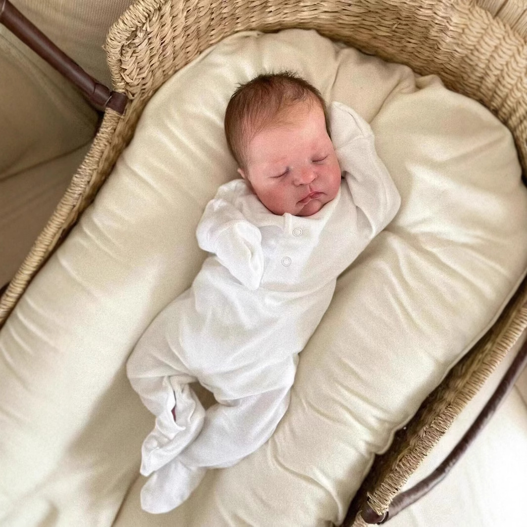 Muñeca realista NPK de 49 cm, bebé recién nacido Demi, suministro de comercio electrónico transfronterizo, dropshipping de Amazon