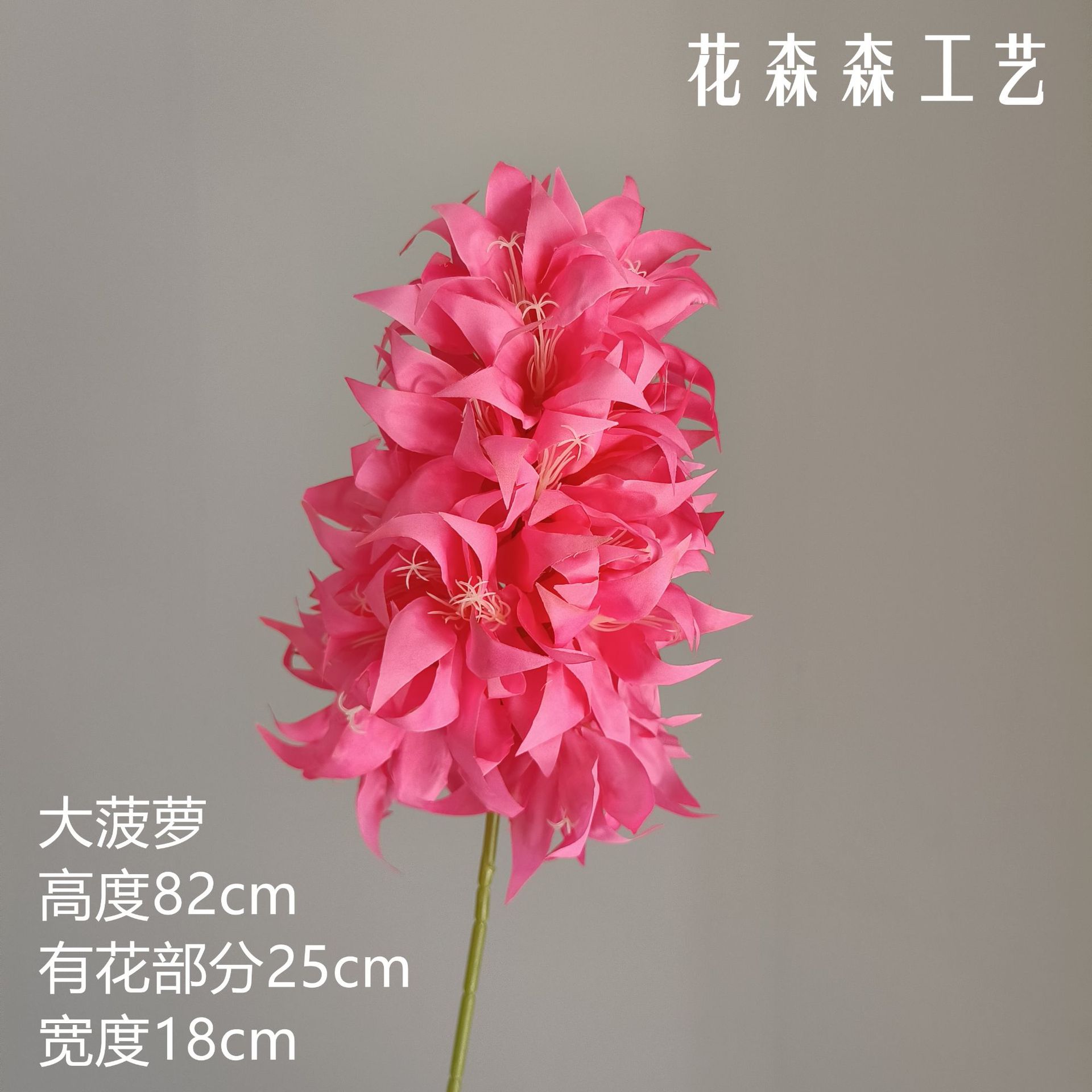 큰 파인애플 131915