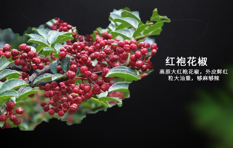 土豆片-恢复的_07.jpg?x-oss-process=image/format,png