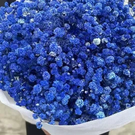鲜花花艺制品;干花;永生花