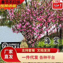 һlĘͥԺԸߗUĴzĻͺֲﻨ