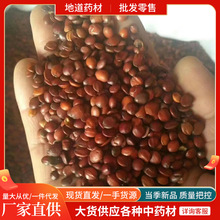 �a�����l�ᗗ��