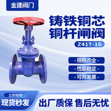 Z41T-16~оlyTFUU~U~о˷omly80100150