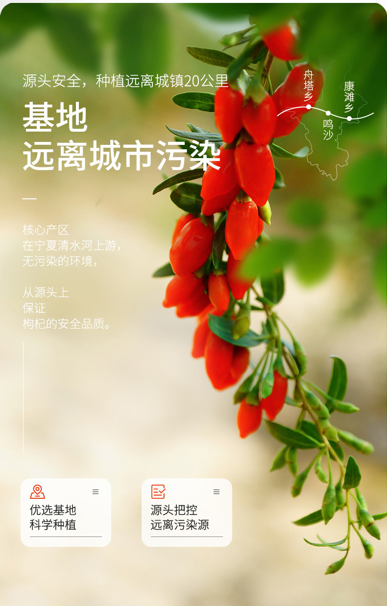Premium Ningxia Goji Berries 250g Jar Dried Wolfberry Gou Qi Zi Grade A preparation
