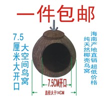 Ҭ�Ӛ��B�C�B�Ҭ��ĵ����B��Ƥ�����}���z�܌��ﷱֳ�B�\