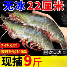 ���u���r�r���r���]0�����r�����r�����r���rˮ�a�ك����