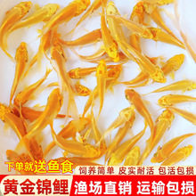 �S���\����ؔ�~�ԁ�ˮ���B�ͻ���B��ˮ�~���wС���~���^�p�~���~