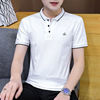 Summer short sleeve T-shirt for leisure, colored polo, plus size, with embroidery