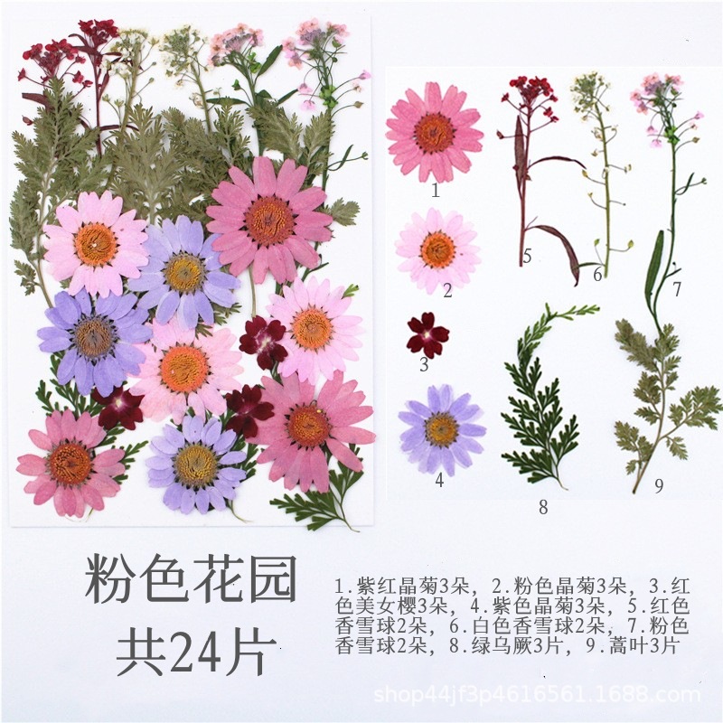 핑크 가든 (24 꽃)