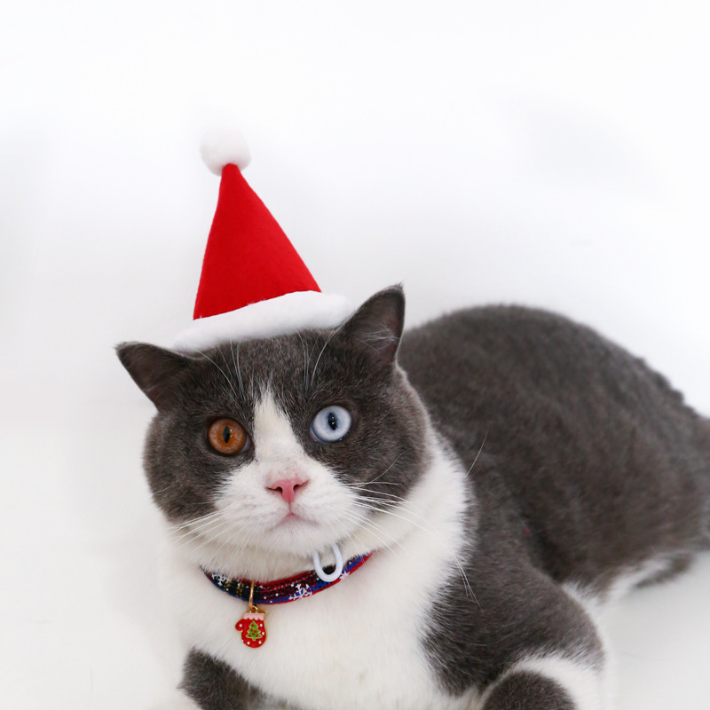180g Weight Costume Props Event & Party Supplies Pet Hat Type Of Pet Supplies 1 Piece Quantity Daily Occasion Nonwoven Material Christmas Festival Color Block Pattern All Seasons Season Simple Style Style Simple Style Nonwoven Christmas Color Block Pet Hat 2