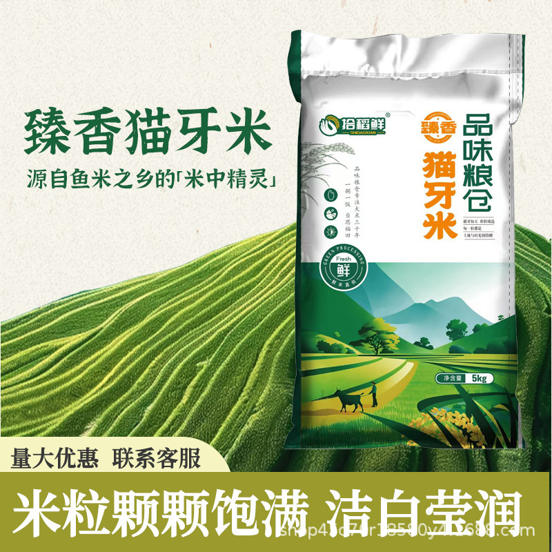 Seasonal Selection of Fresh Cat Tooth Rice Seedlings 2025 Farm Extra Long Grain Fragrant Rice Cheap Rice 25kg Seasonal Selection of Fresh Cat Tooth Rice Seedlings 2025 Farm Extra Long Grain Fragrant Rice Cheap Rice 25kg