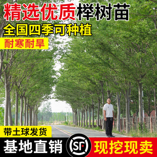 �t�Θ���Ѫ�eС��e��ͥԺ�е������ͺ����~�G���L����С�~�Θ���