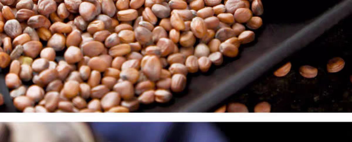 Lai Fu Zi (Semen Raphani) — Roasted Radish Seed for Herbal Tea & Decoction, 500g key features